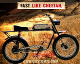 Fast Like Cheetah